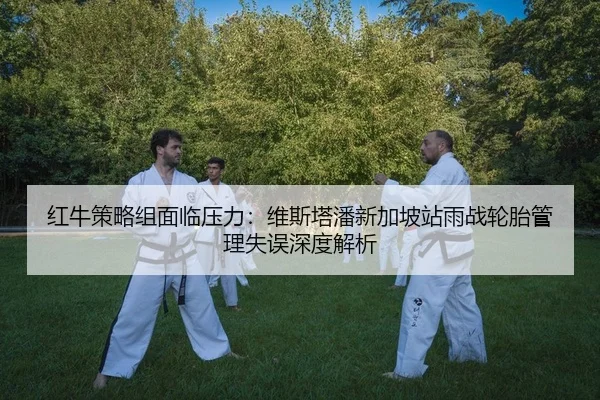 红牛策略组面临压力：维斯塔潘新加坡站雨战轮胎管理失误深度解析